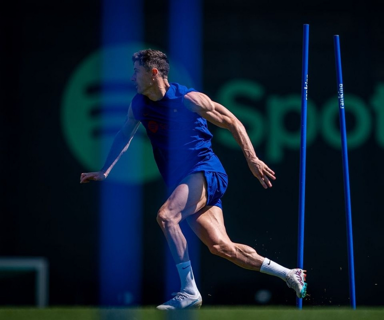 开云- 莱万多夫斯基什么水平 