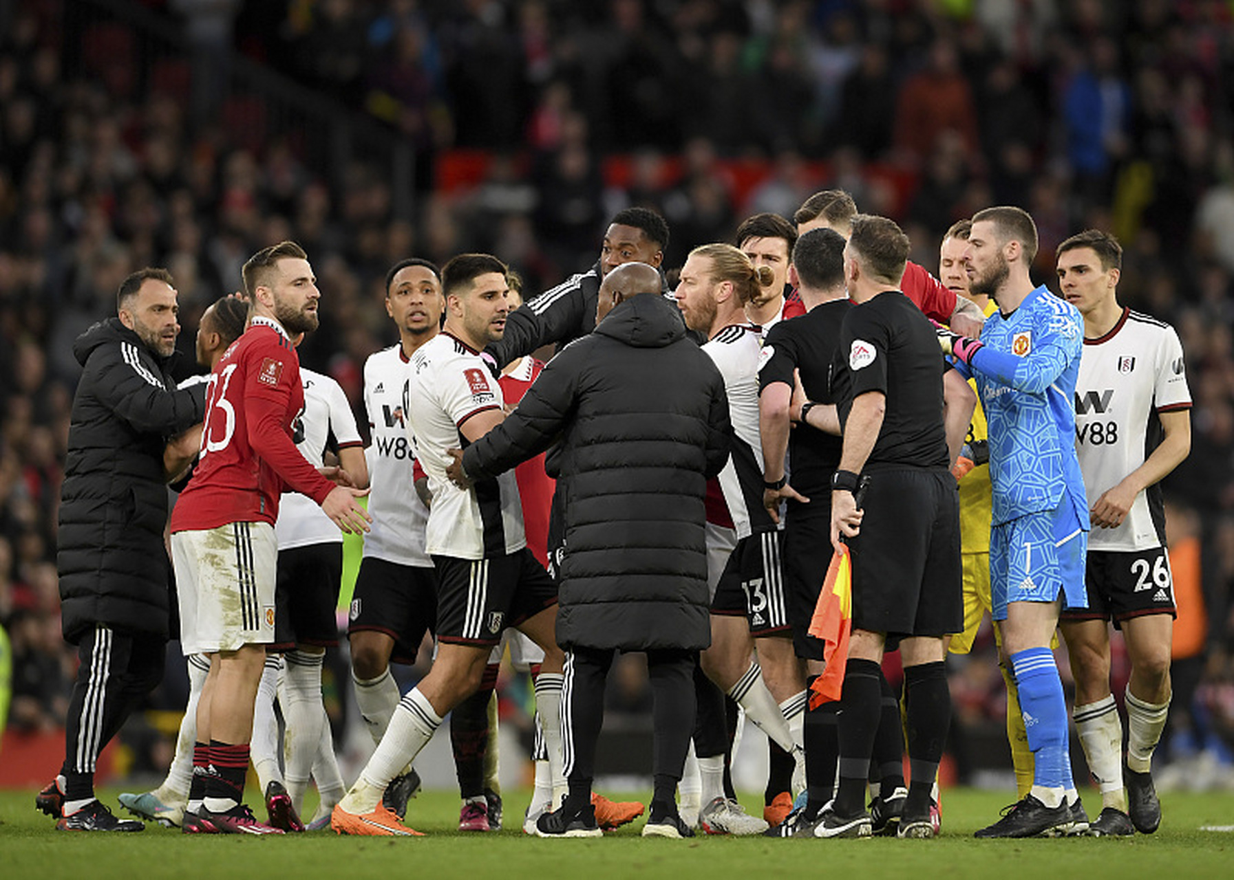 KAIYUN- 蒂姆获得过大满贯吗 